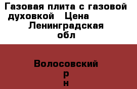 Газовая плита с газовой духовкой › Цена ­ 5 000 - Ленинградская обл., Волосовский р-н, Извара д. Электро-Техника » Бытовая техника   . Ленинградская обл.